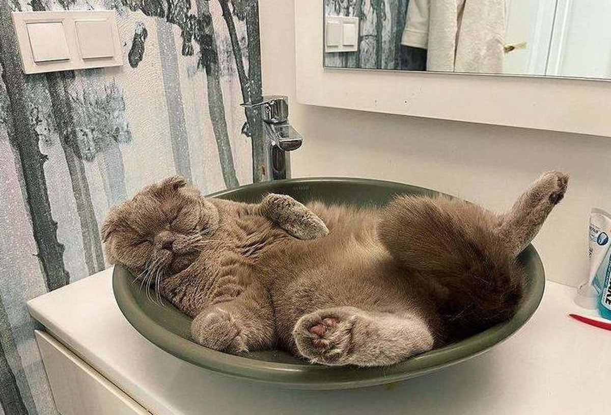  الناز شاکردوست