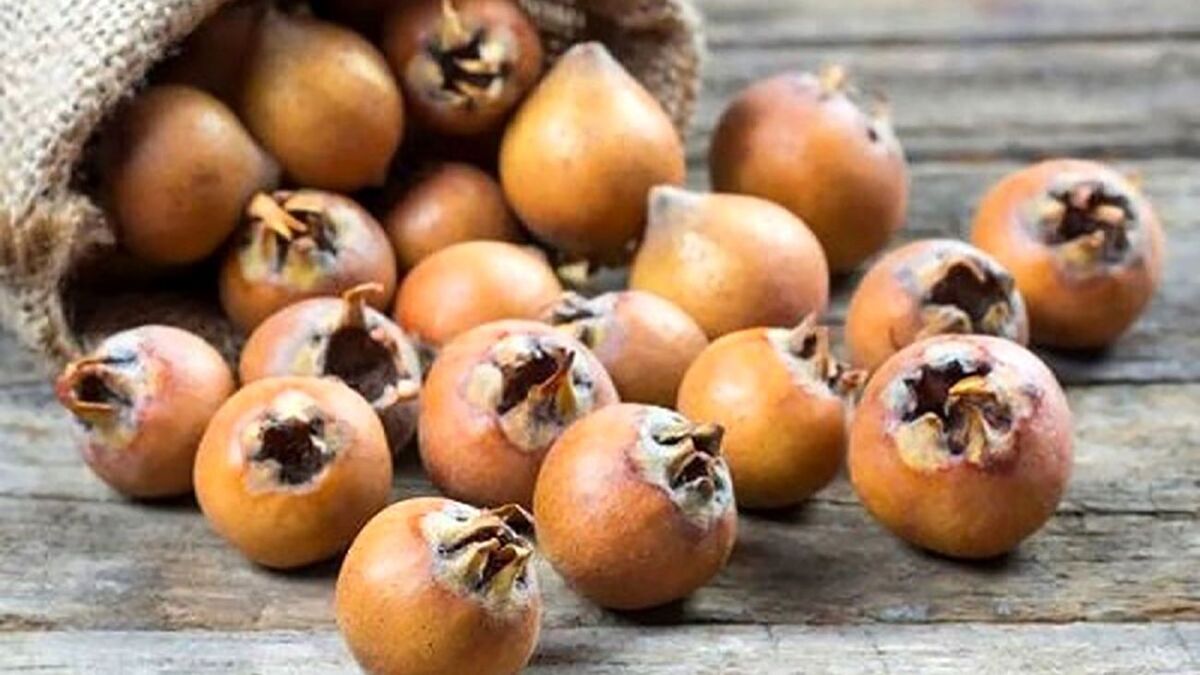 با این میوه کمبود آهن خود را جبران کنید با این میوه کمبود آهن خود را جبران کنید