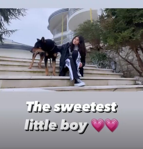 نگهبان غول پیکر ویلای لاکچری علی دایی!+عکس