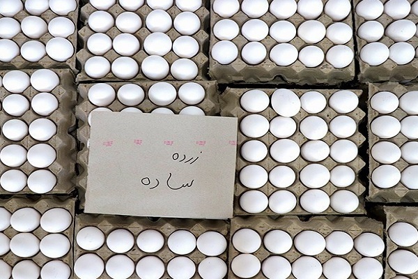 اعلام قیمت جدید تخم مرغ توسط میادین میوه و تره ملاک نیست اعلام قیمت جدید تخم مرغ توسط میادین میوه و تره ملاک نیست