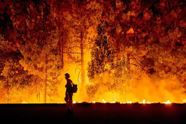 نقش تغییر اقلیم بر آتش سوزی+ راهکار جلوگیری از گسترش آتش