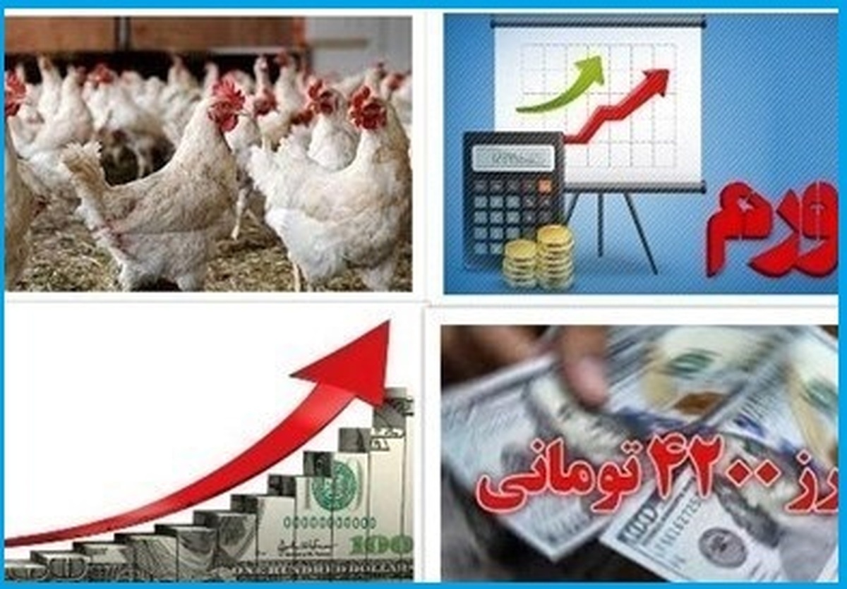 دلیل مرغ ۱۰۰ هزار تومانی چیست؟ دلیل مرغ ۱۰۰ هزار تومانی چیست؟