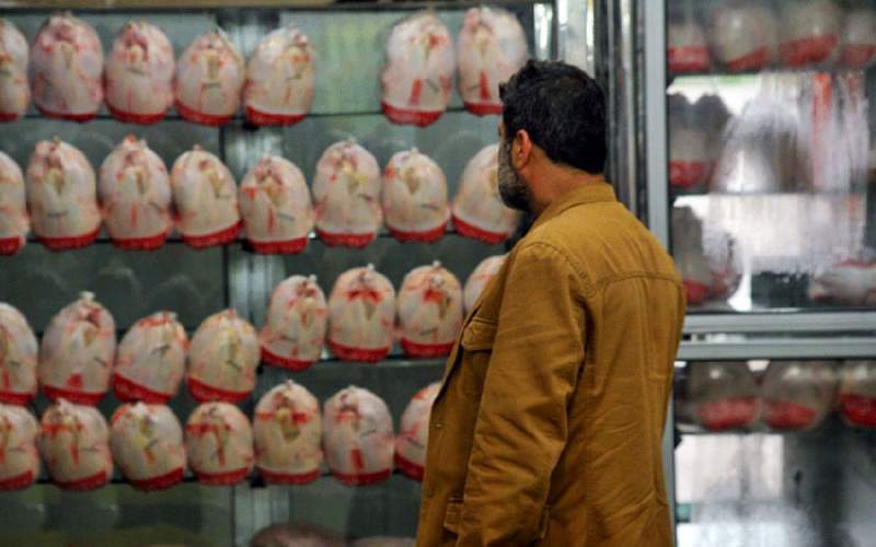 عبور قیمت مرغ از ۱۱۰ هزار تومان عبور قیمت مرغ از ۱۱۰ هزار تومان