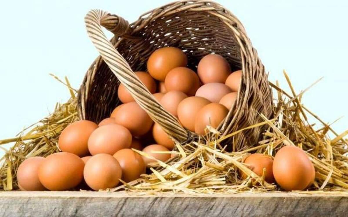 (تصاویر) وقتی تخممرغ کیلویی ۶ تومان هم در تهران گیر نمیآمد (تصاویر) وقتی تخممرغ کیلویی ۶ تومان هم در تهران گیر نمیآمد