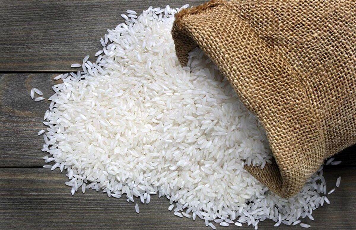 توضیح عضو کمیسیون کشاورزی درباره ماجرای ورود برنج آلوده به کشور توضیح عضو کمیسیون کشاورزی درباره ماجرای ورود برنج آلوده به کشور