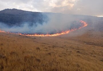 عجیب‌ترین دعوای زن وشوهری سال در بوکان رخ داد!