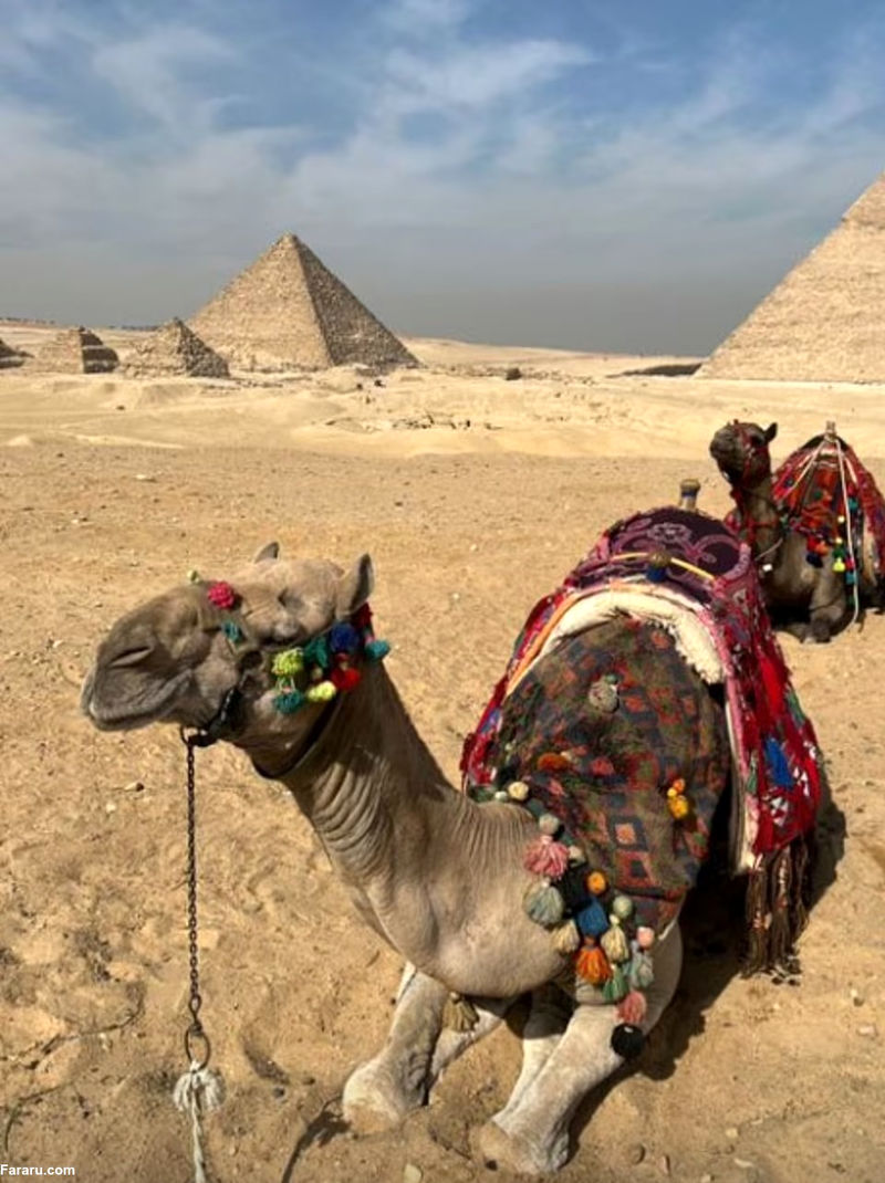 ایوانکا ترامپ