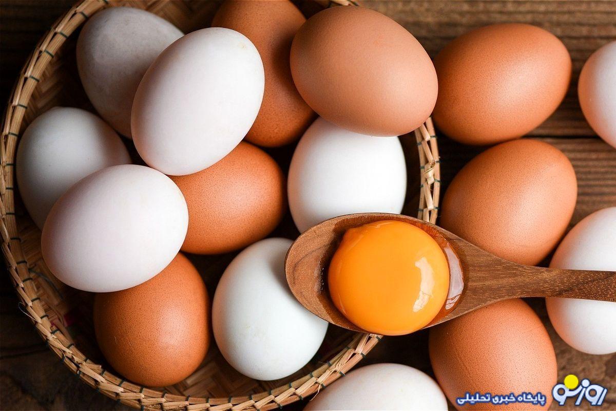تخممرغ کیلویی چند؟ تخممرغ کیلویی چند؟