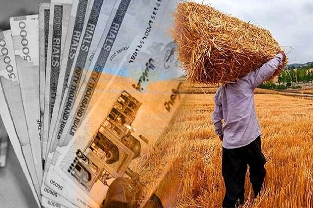 خبر مهم برای گندمکاران/ چند همت به حساب گندمکاران واریز شد؟