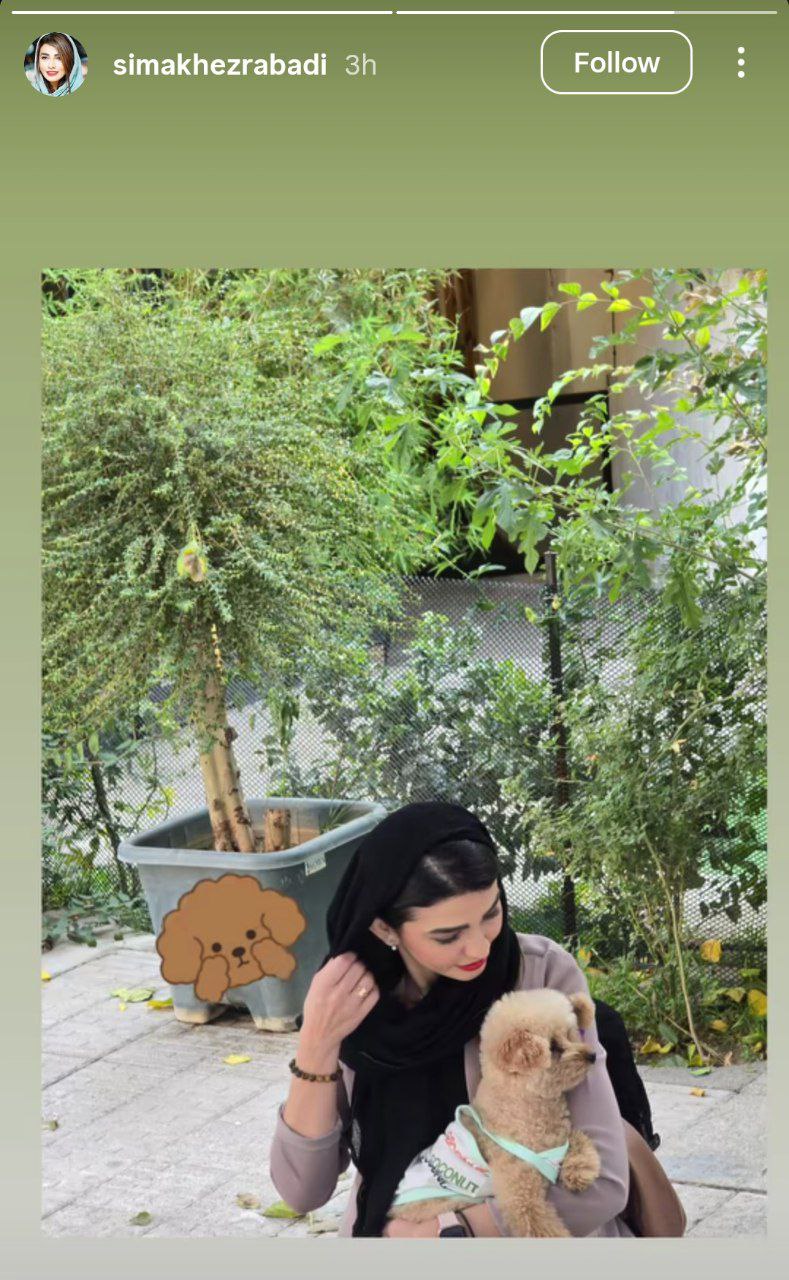 photo_2025-10-10_21-35-50