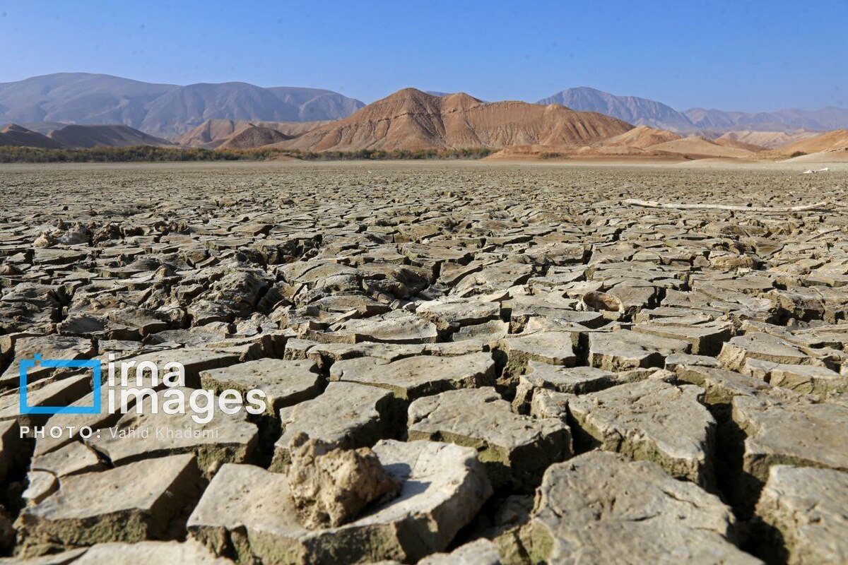 مرگ دست جمعی ماهی‌ها در سد عبدل آباد بجنورد