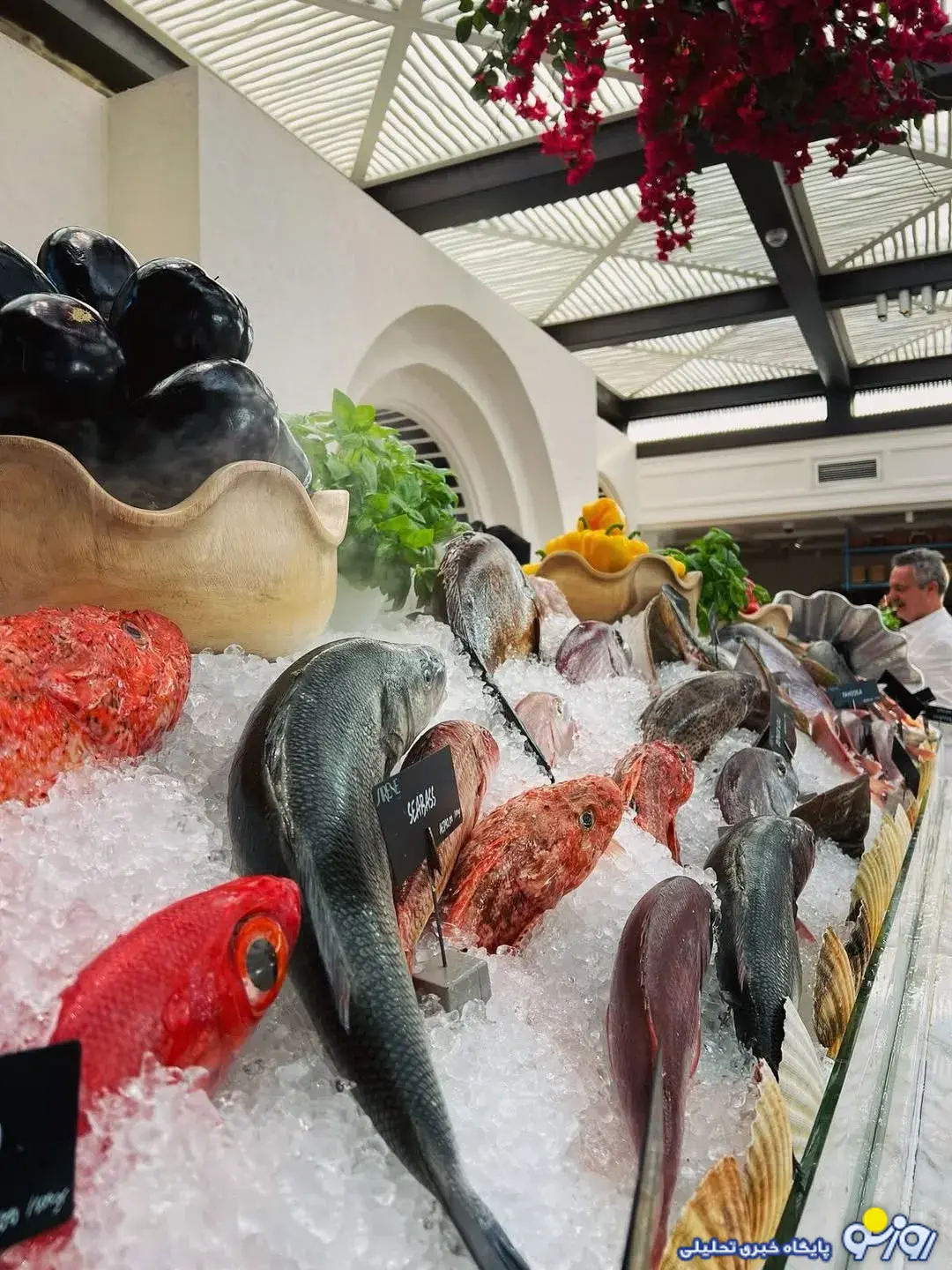 الناز در دبی!