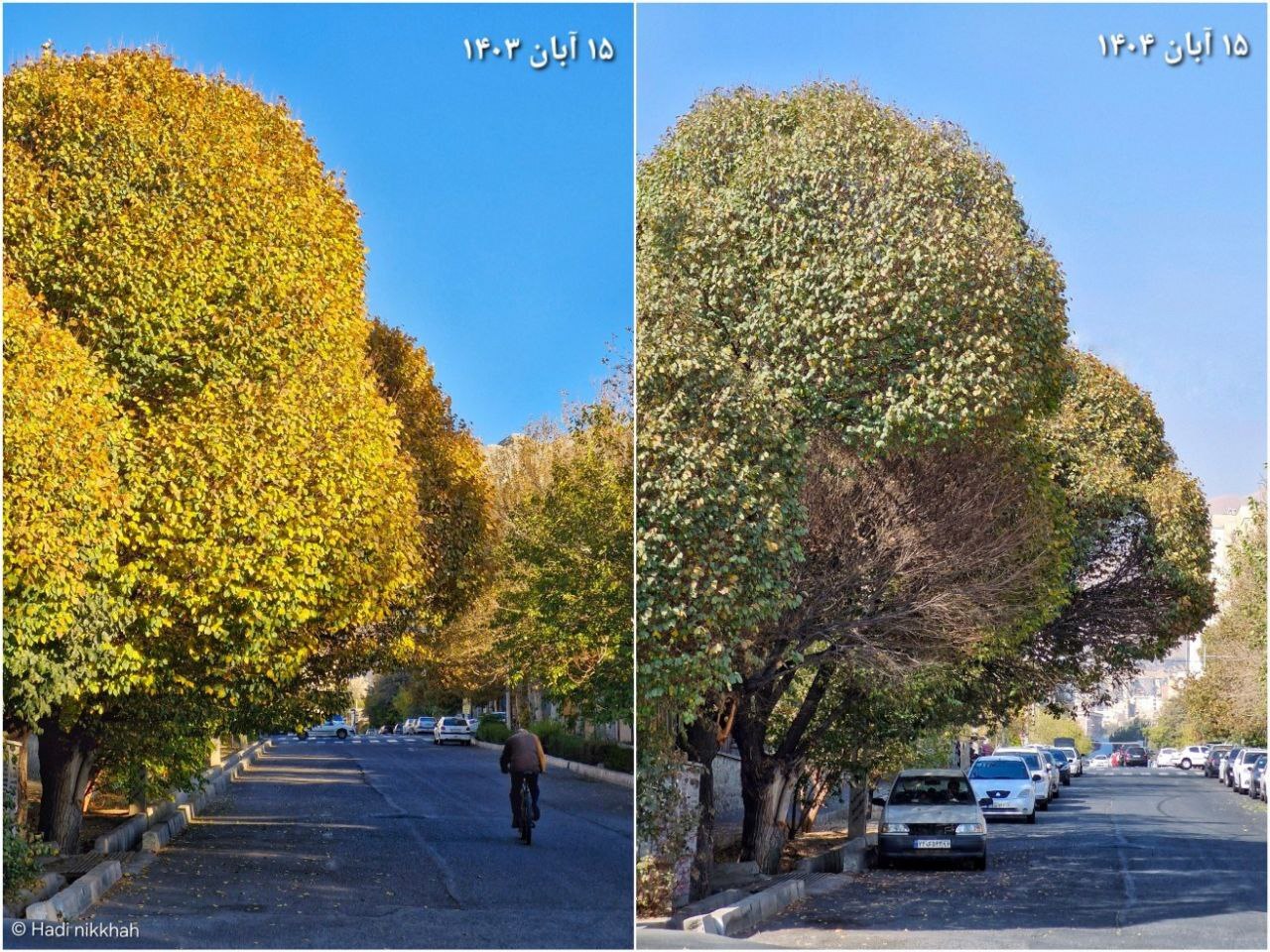 پاییز تهران به فاصله یک سال