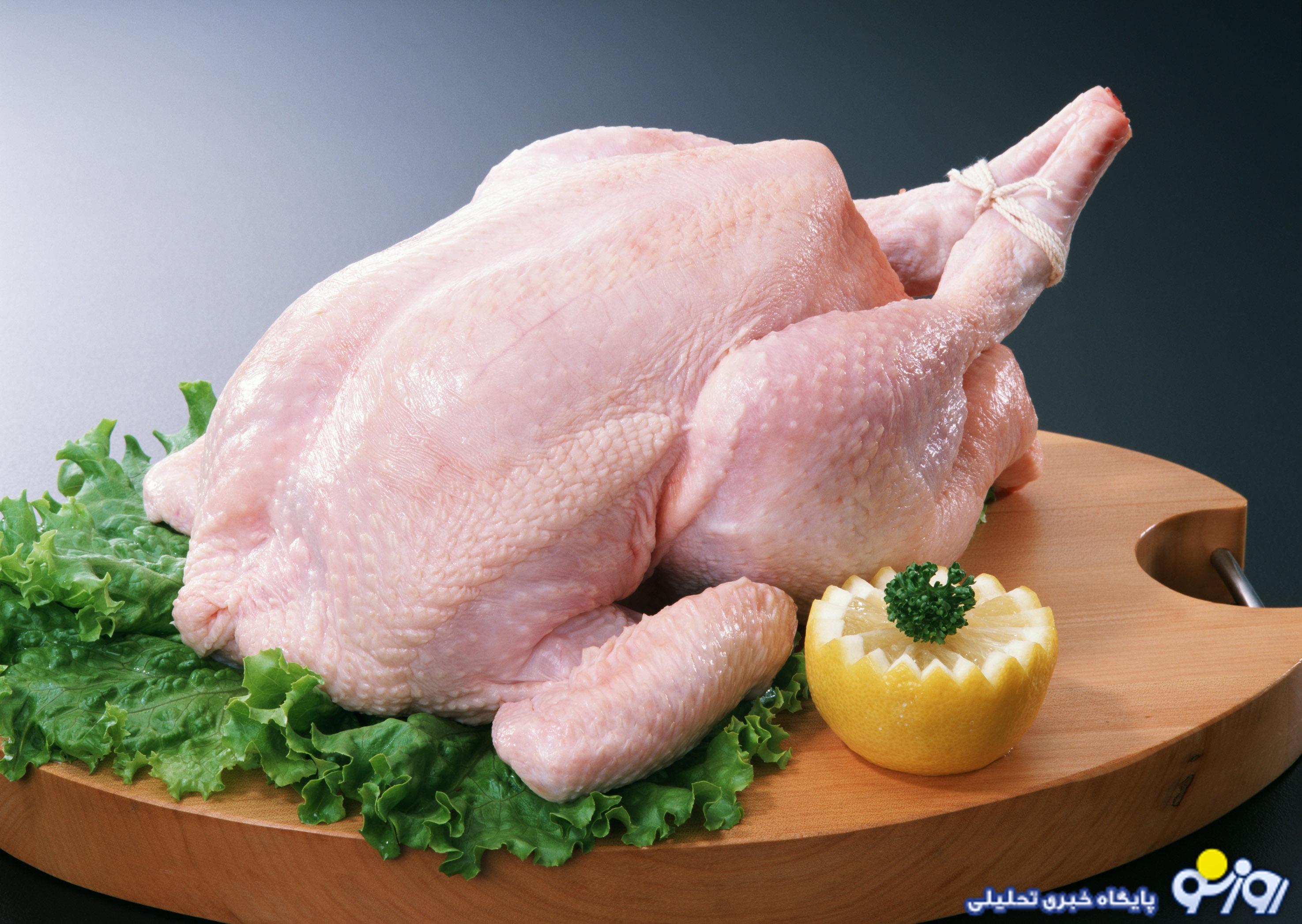 قیمت مرغ امروز پنجشنبه ۲۲ آبان ۱۴۰۴ قیمت مرغ امروز پنجشنبه ۲۲ آبان ۱۴۰۴
