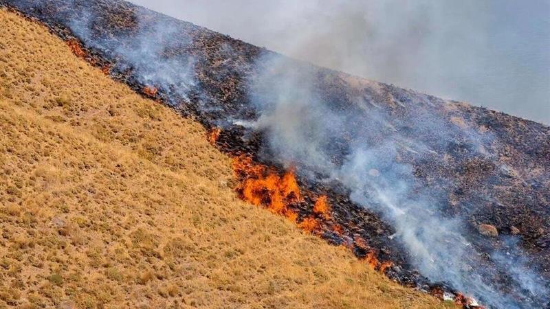 آتش‌سوزی در جنگل‌های بدره ایلام