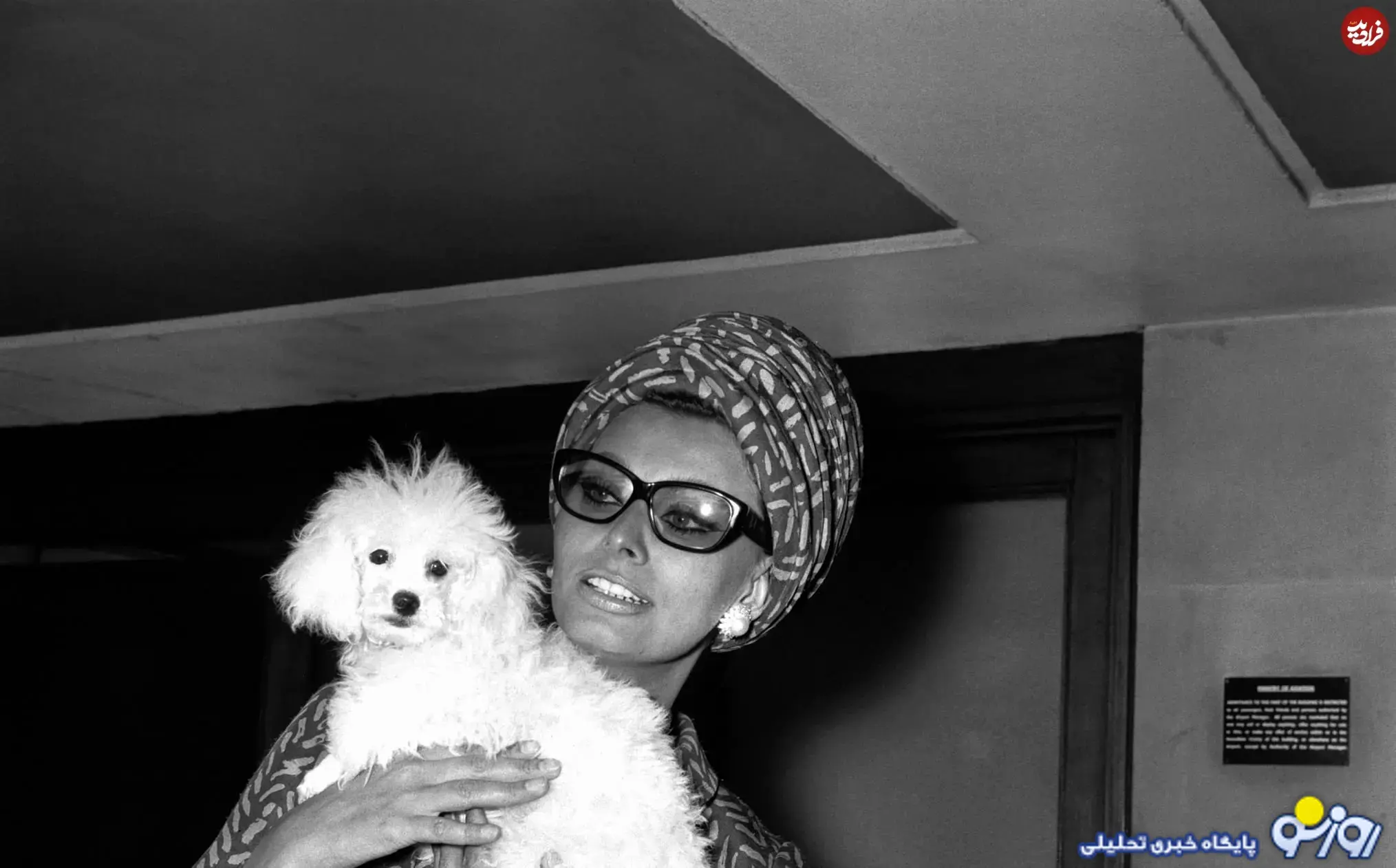 «سوفیا لورن» به همراه سگ اش «سوفیا لورن» به همراه سگ اش