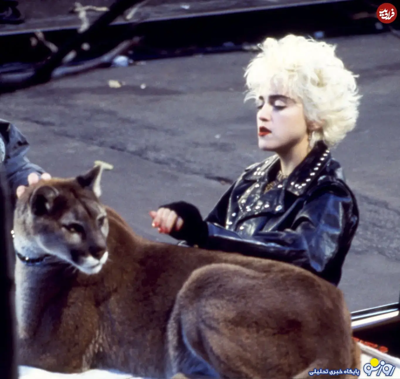 مدونا در نیویورک