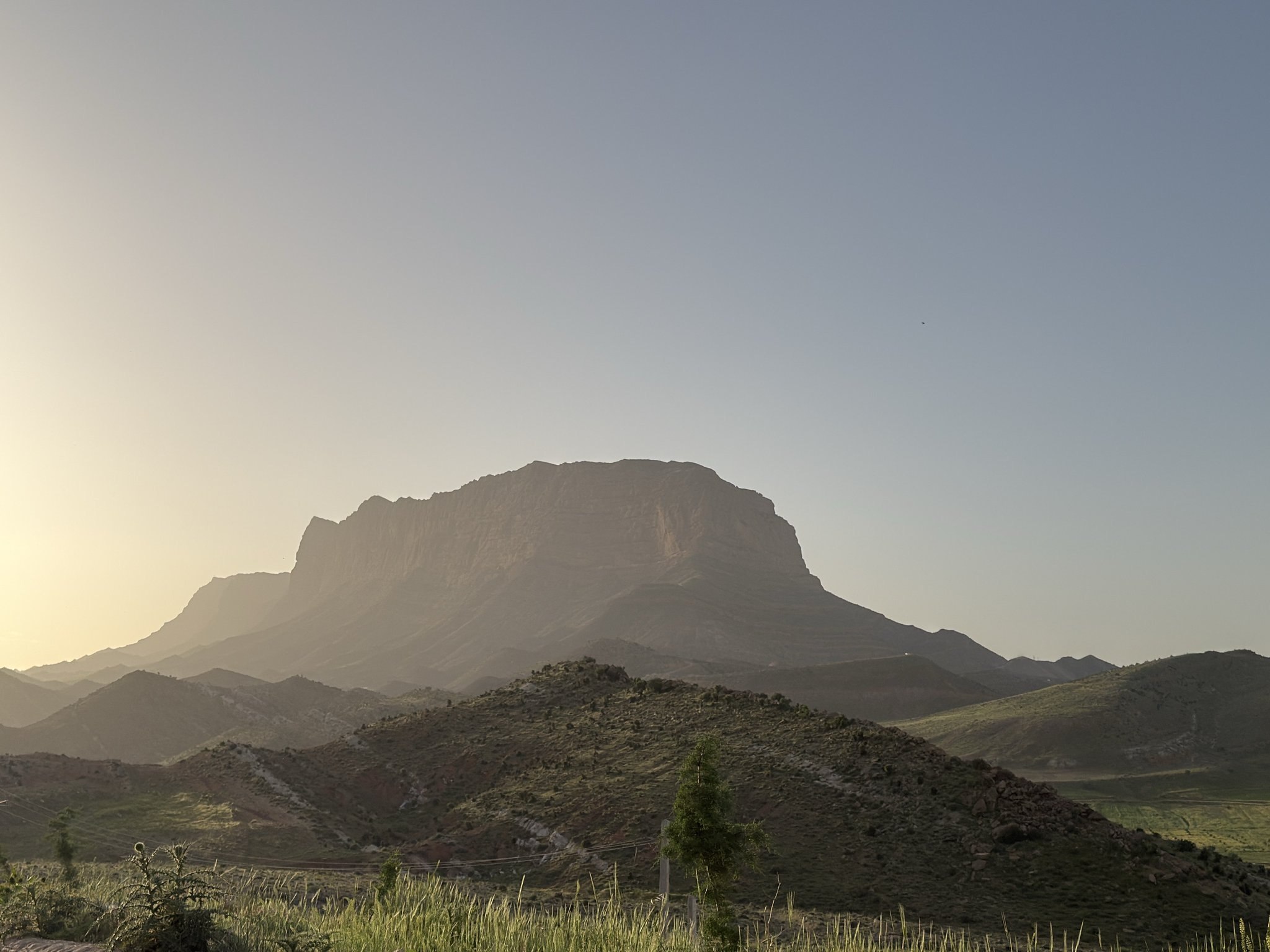 تصاویری از طبیعت از زیبای شیراز